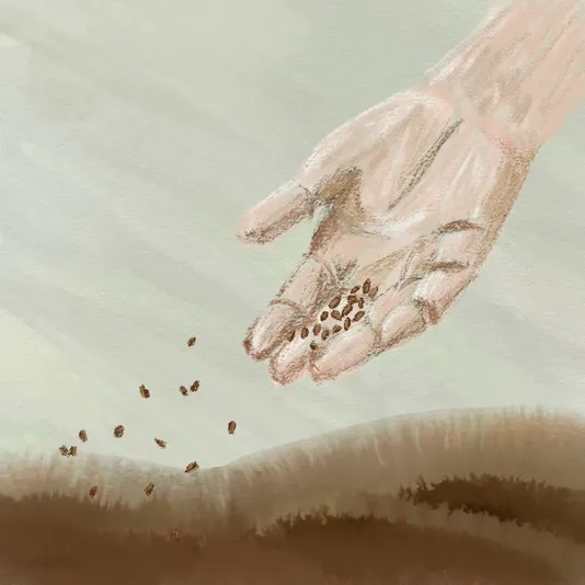 A hand scattering seeds over dark soil